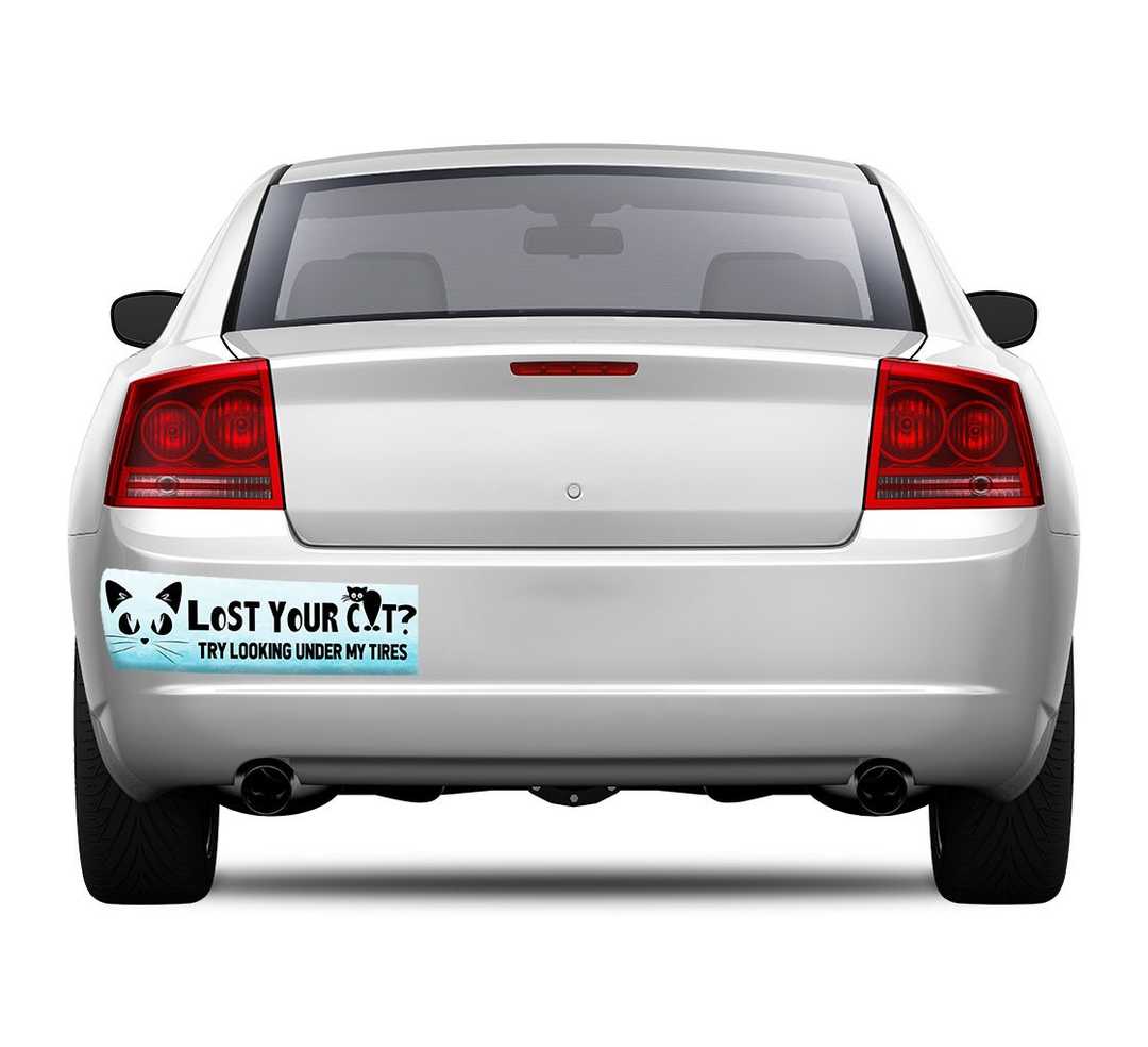 Bumper Stickers
